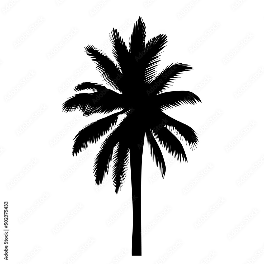palm tree silhouette, on white background, isolated, vector palm tree silhouette, on white background, isolated, vector