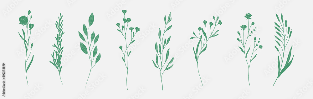 Minimal feminine botanical floral branch in silhouette style. Hand drawn wedding herb, minimalistic flowers with elegant leaves. Botanical rustic trendy greenery vector - obrazy, fototapety, plakaty 
