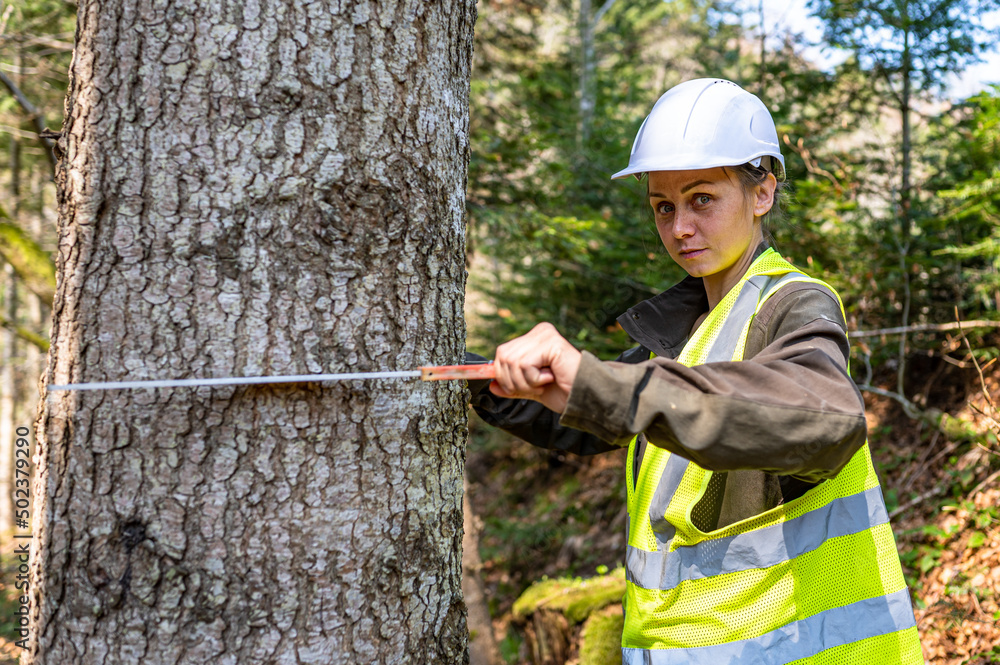 Pretty woman working as a forester. Pretty woman working as a forester.