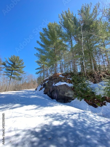 Sentier enneigé en forêt, excursion dans un parc nature, belle journée d'hiver sous un ciel bleu et une forêt de conifères