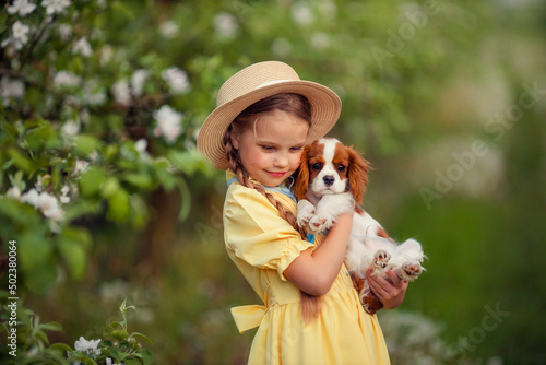 children and pets. cute little girl in a hat with pigtails holding a brown puppy cavalier king charles spaniel in her arms