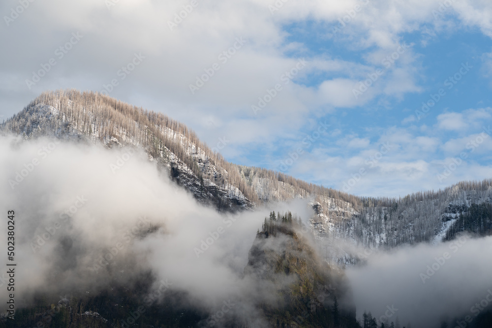 Clouds in the Cascade Range