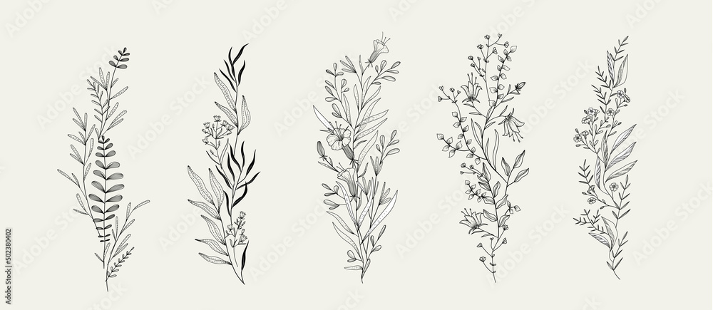 Trendy floral branch and minimalist flowers for logo or decorations. Hand drawn line wedding herb, elegant leaves for invitation save the date card. Botanical rustic trendy greenery - obrazy, fototapety, plakaty 