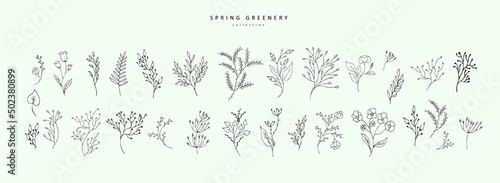 Floral branch and minimalist leaves for logo or tattoo. Hand drawn line wedding herb, elegant wildflowers for invitation save the date card. Botanical rustic trendy greenery