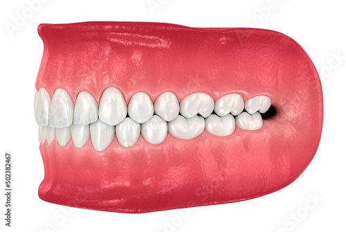 Bilde på lerret Healthy human teeth with normal occlusion. Dental 3D illustration