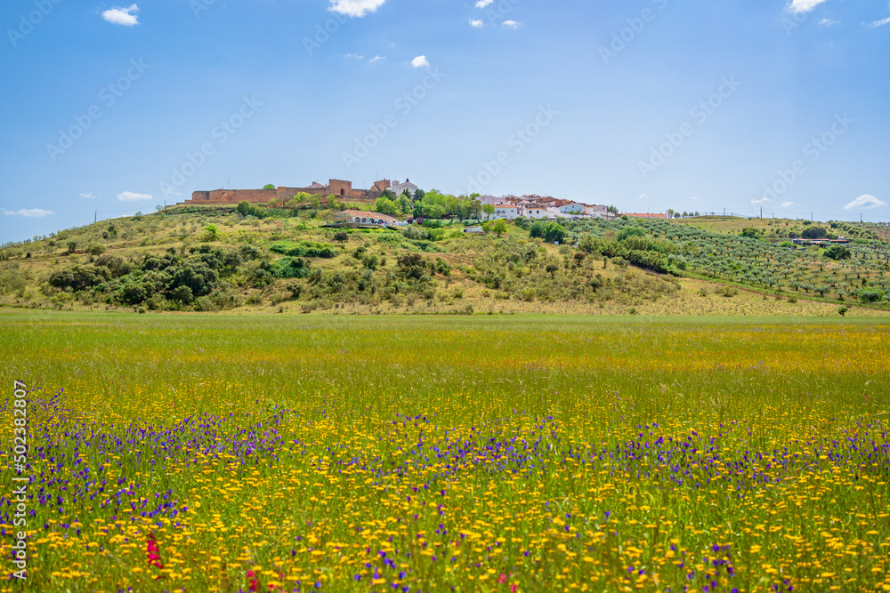 Scenic view of countryside in Springtime. At the background a castle over a hill