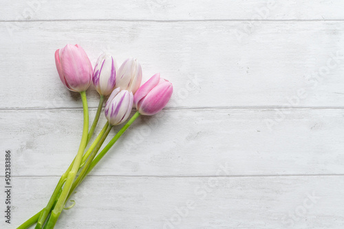 Fototapeta Naklejka Na Ścianę i Meble -  pink tulips on wooden background