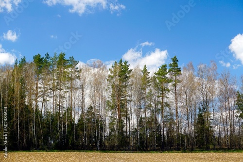 Rural landscape. Expanses of horizon forest. Plowed field. Spring day. blue sky and clouds