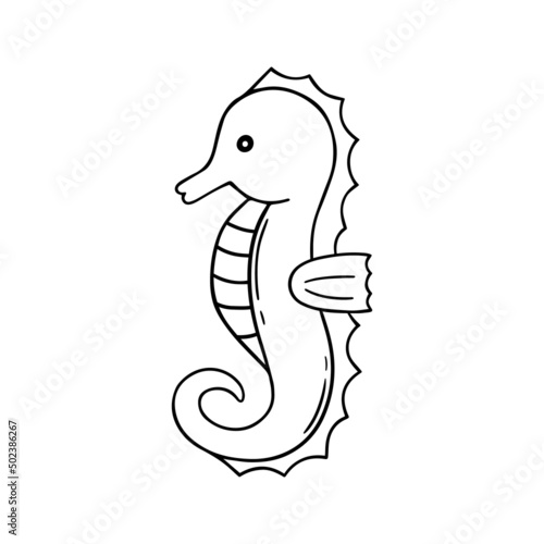 Hand drawn seahorse doodle. Underwater animal in sketch style.  Vector illustration isolated on white background.