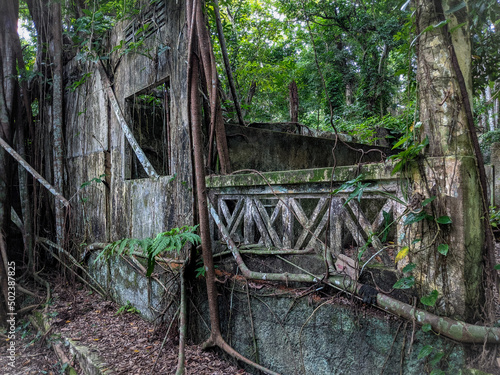 Jungle ruins  in Thomson Nature Park
