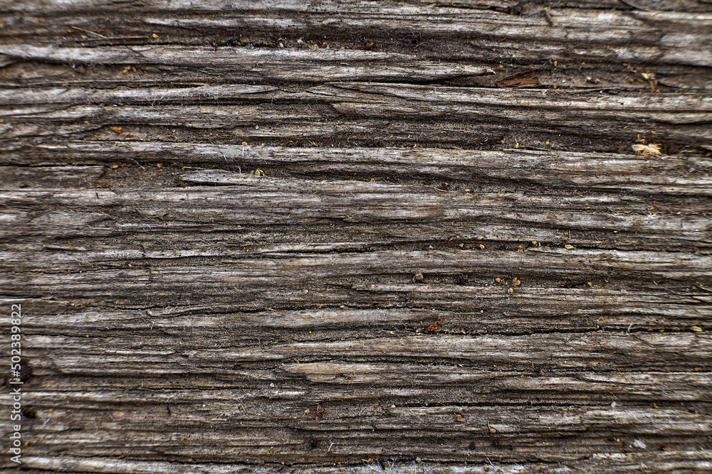 Closeup photo of old gray wooden wall texture background Closeup photo of old gray wooden wall texture background