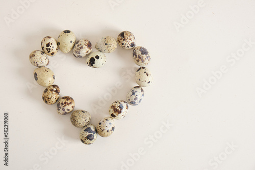 quail eggs on light texture background copy space