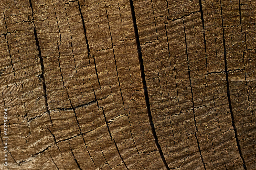 Fototapeta premium Dark brown wood surface oak color Split pattern for texture and copy space in design background