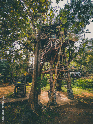 Hobbit house in the forest of Chiang Mai, Thailand photo