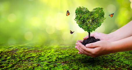 hand holding a heart tree environment earth day
