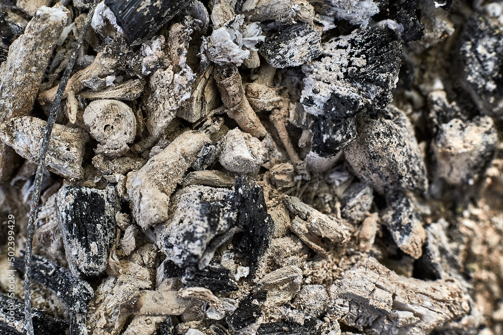 Ashes and burnt coals after a fire. Extinguished and cooled wood fire. Background from fireless coals and ash texture. Nature and the environment. Ashes and burnt coals after a fire. Extinguished and cooled wood fire. Background from fireless coals and ash texture. Nature and the environment.
