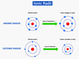 Ionic Radii: Ions are formed by either gain of electrons by an atom or loss of electrons by an atom