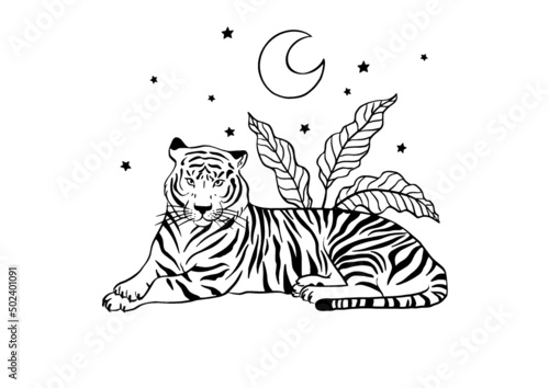 vector esoteric tiger black and white 