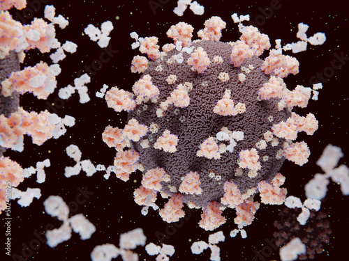 Foto Antibodies binding and neutralizing coronaviruses SARS-CoV-2