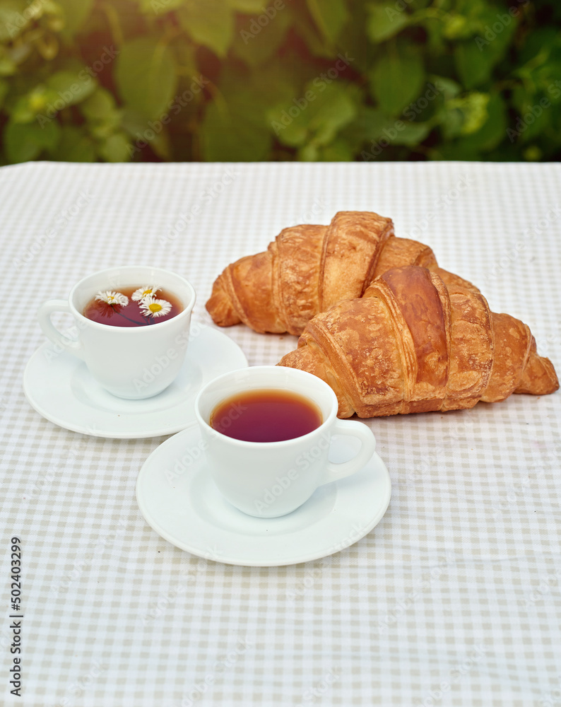 Two cup black tea with camomile and fresh croissants on the table against white background. Flat lay, spring breakfast conceptual composition Two cup black tea with camomile and fresh croissants on the table against white background. Flat lay, spring breakfast conceptual composition