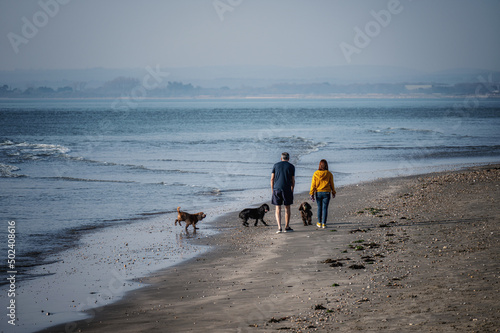 Dogs being taken for a walk along a deserted beach on a sunny day. photo