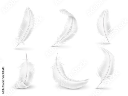 Realistic white feathers. Soft and fluffy birds and angel wings elements. Natural pillow filler. Differently curved plumage. Avian fuzz. Goose or swan quills. Vector feathering set