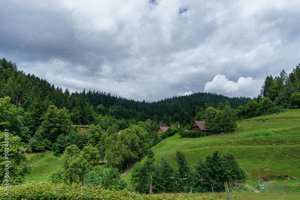Scenic view of a picturesque mountain forest in summertime with house on a meadow, Black Forest, Germany