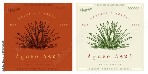 Agave vintage engraving illustration for logo template