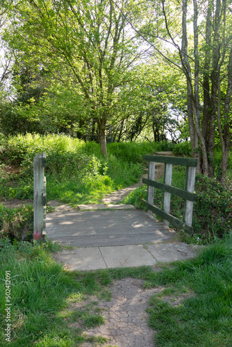 Bridge over a beautiful steam in a spring English meadow walk with a small path