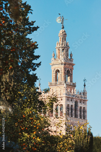 Vertical shot of the Giralda bell tower, part of the cathedral in Seville, Spain - taken from the Real Alcazar royal gardens photo