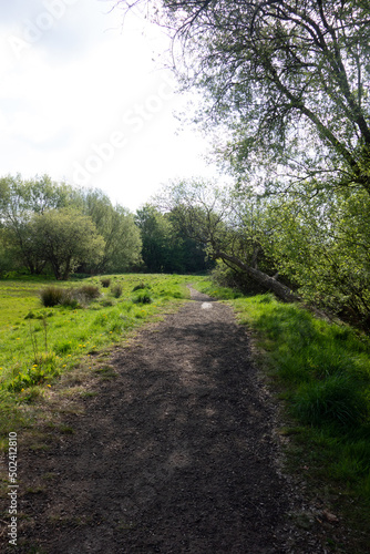 Beautiful English Green Countryside Meadow with Pathway