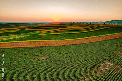 Scenic view of a vast agricultural field at sunset photo