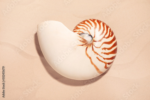 Nautilus shell on white sand, top view