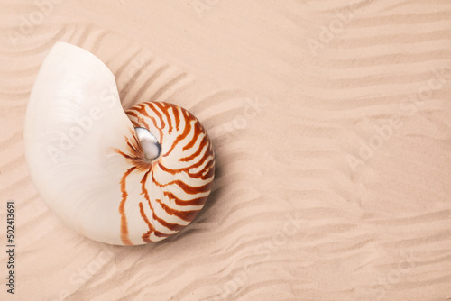 Nautilus shell on sand, top view. Space for text