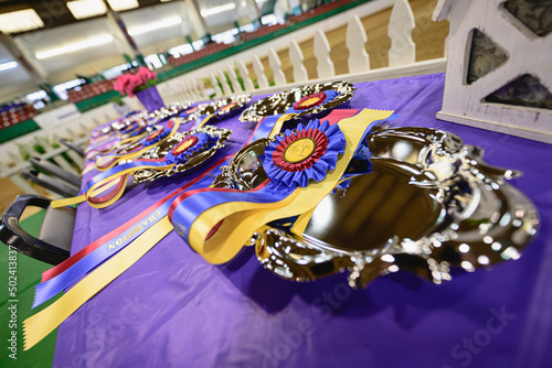 Fotografija Horse show prizes table