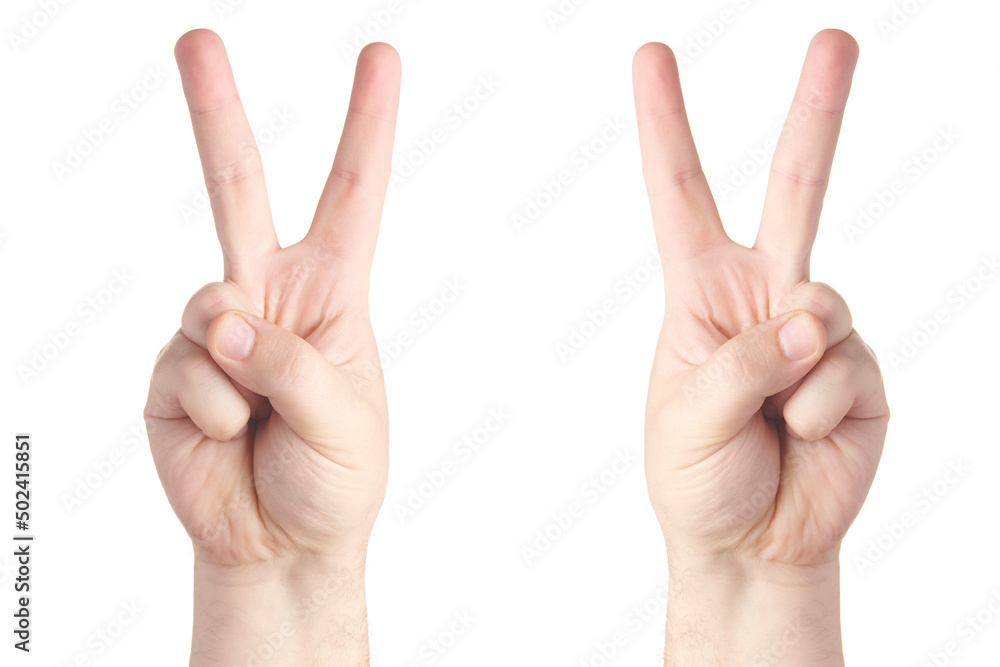 Left and right male hand with two fingers up isolated on white background. Brutal man's index and middle finger showing victory gesture. Finger gestures. Left and right male hand with two fingers up isolated on white background. Brutal man's index and middle finger showing victory gesture. Finger gestures.