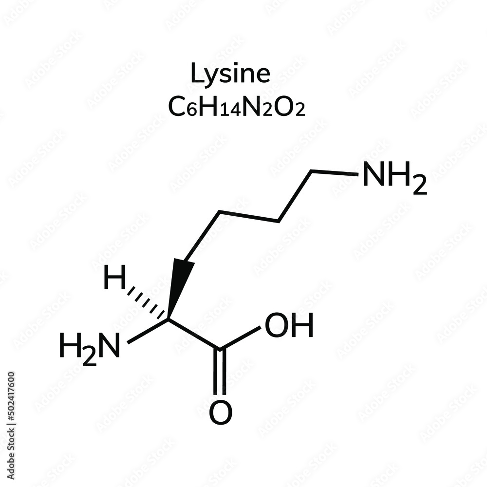Essential amino acid lysine on a white background
Essential amino acid lysine on a white background