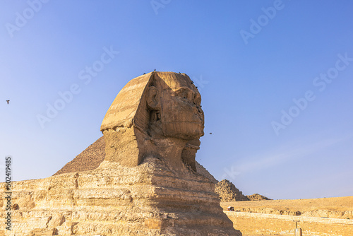 Giza  Egypt -  November 14  2021  The Great Sphinx by the great ancient Pyramids of Giza  Egypt