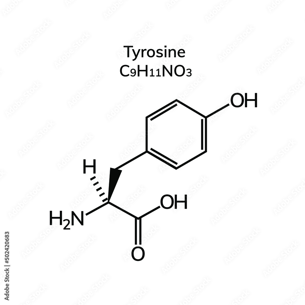 Non-essential amino acid tyrosine on a white background
Non-essential amino acid tyrosine on a white background
