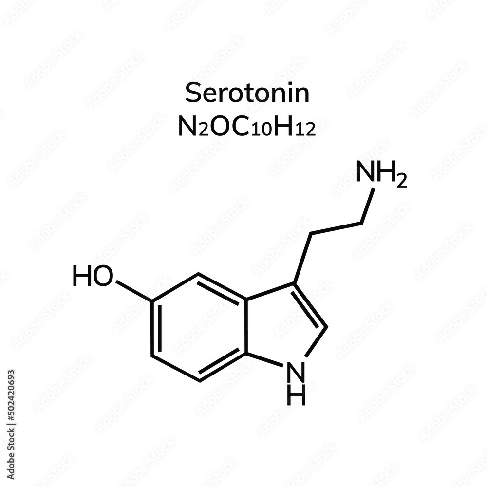 Non-essential amino acid serotonin on a white background
Non-essential amino acid serotonin on a white background