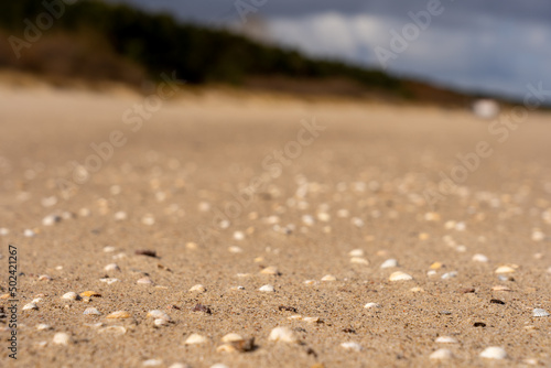 Wallpaper Mural Ostsee Gespensterwald Boot Leuchtturm Warnemünde Strand Bäume Meer Salzwasser Küste Brandung Steilküste Wolken Gezeiten Himmel Wolken Stralsund Sonnenaufgang Sonnenuntergang Boot  Torontodigital.ca