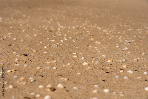 Wallpaper Mural Ostsee Gespensterwald Boot Leuchtturm Warnemünde Strand Bäume Meer Salzwasser Küste Brandung Steilküste Wolken Gezeiten Himmel Wolken Stralsund Sonnenaufgang Sonnenuntergang Boot  Torontodigital.ca