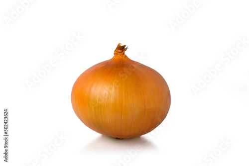 close up, yellow, onion, white background