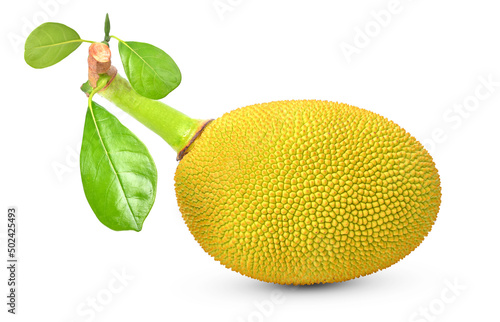 jackfruit on white background