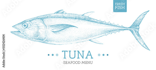 Realistic tuna fish vector illustration. Seafood menu design photo