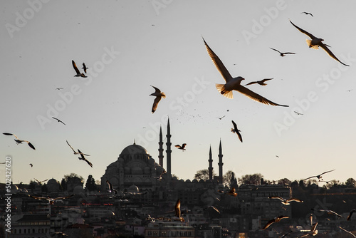 Istanbul silhouette and seagulls at sunset, Suleymaniye mosque, Turkey. photo