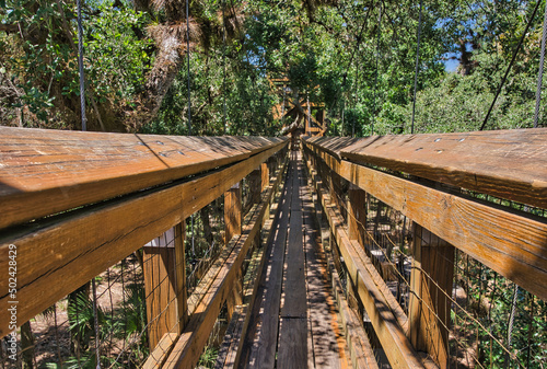 Canopy walkway at the Myakka River State Park, Florida, USA photo