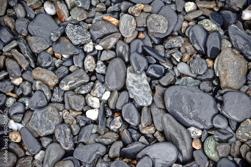 Photos Rocks of different shapes and colors covering the gerund