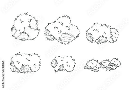 Vector pack of different shaped tree sketches isolated on a white background