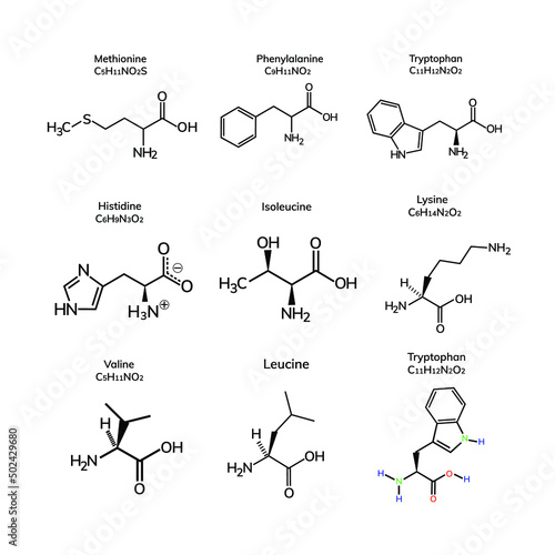 Group of vitamins on white background

